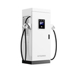 120 kW DC Fast EV -Ladestation mit CCS2 -Doppelwaffe und für kommerzielles Projekt