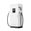 120 kW DC Fast EV -Ladestation mit CCS2 -Doppelwaffe und für kommerzielles Projekt